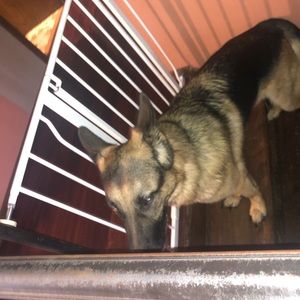 Meet your Posher, Ana